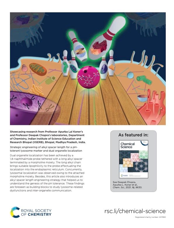 Cover 5