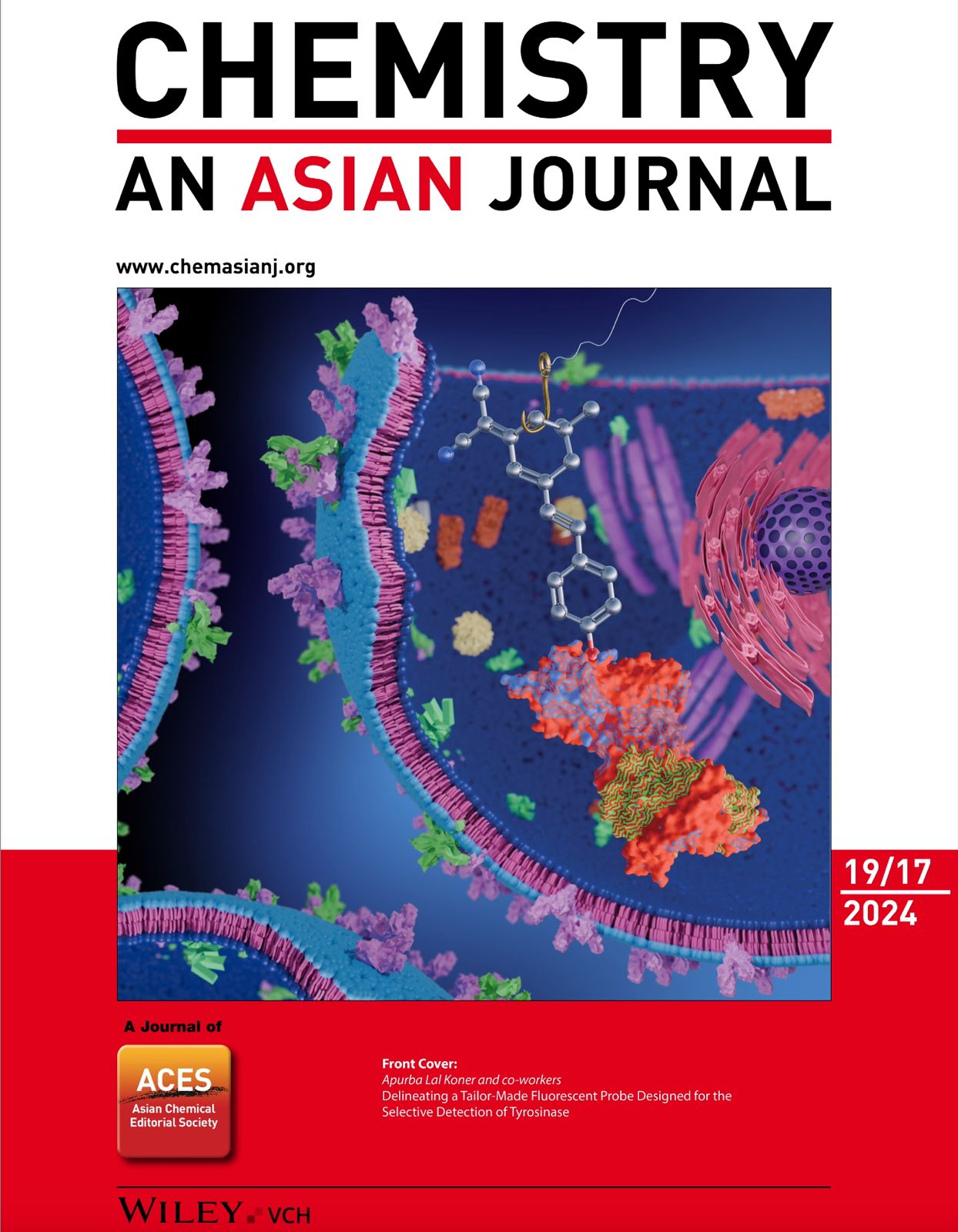 Cover 8